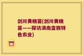 剑川黄精苗(剑川黄精苗——探访滇南畲族特色农业)