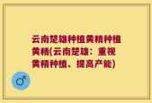 云南楚雄种植黄精种植黄精(云南楚雄：重视黄精种植、提高产能)
