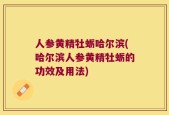 人参黄精牡蛎哈尔滨(哈尔滨人参黄精牡蛎的功效及用法)