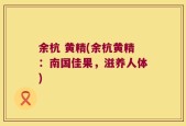 余杭 黄精(余杭黄精：南国佳果，滋养人体)