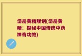 岱岳黄精规划(岱岳黄精：探秘中国传统中药神奇功效)
