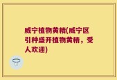 威宁植物黄精(威宁区引种盛开植物黄精，受人欢迎)
