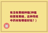 有没有黄精种植(种植和使用黄精，这种传统中药材有哪些好处？)