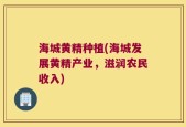 海城黄精种植(海城发展黄精产业，滋润农民收入)