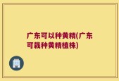 广东可以种黄精(广东可栽种黄精植株)