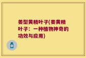 姜型黄精叶子(姜黄精叶子：一种植物神奇的功效与应用)