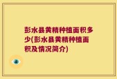 彭水县黄精种植面积多少(彭水县黄精种植面积及情况简介)