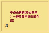 中条山黄精(条山黄精：一种珍贵中草药的介绍)