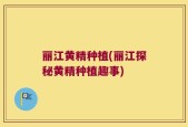 丽江黄精种植(丽江探秘黄精种植趣事)