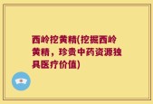 西岭挖黄精(挖掘西岭黄精，珍贵中药资源独具医疗价值)