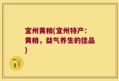 宜州黄精(宜州特产：黄精，益气养生的佳品)