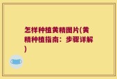 怎样种植黄精图片(黄精种植指南：步骤详解)