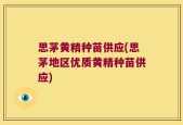 思茅黄精种苗供应(思茅地区优质黄精种苗供应)