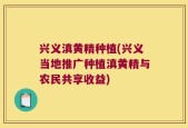 兴义滇黄精种植(兴义当地推广种植滇黄精与农民共享收益)