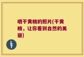 晒干黄精的照片(干黄精，让你看到自然的美丽)
