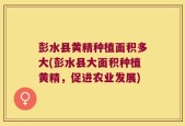 彭水县黄精种植面积多大(彭水县大面积种植黄精，促进农业发展)