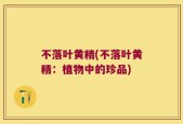 不落叶黄精(不落叶黄精：植物中的珍品)