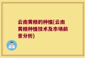 云南黄精的种植(云南黄精种植技术及市场前景分析)