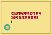 收获的新黄精怎样食用(如何食用新鲜黄精？)