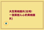 大型黄精图片(壮观！一张震撼人心的黄精图片)