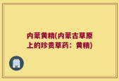 内蒙黄精(内蒙古草原上的珍贵草药：黄精)