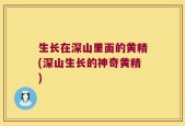 生长在深山里面的黄精(深山生长的神奇黄精)