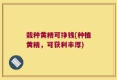 栽种黄精可挣钱(种植黄精，可获利丰厚)