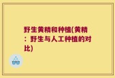 野生黄精和种植(黄精：野生与人工种植的对比)