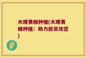 大理黄精种植(大理黄精种植：助力脱贫攻坚)