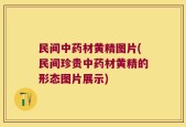 民间中药材黄精图片(民间珍贵中药材黄精的形态图片展示)