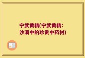 宁武黄精(宁武黄精：沙漠中的珍贵中药材)