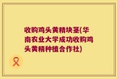 收购鸡头黄精块茎(华南农业大学成功收购鸡头黄精种植合作社)