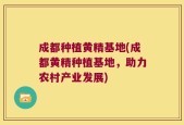 成都种植黄精基地(成都黄精种植基地，助力农村产业发展)
