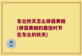 东北秋天怎么移栽黄精(移栽黄精的最佳时节在东北的秋天)