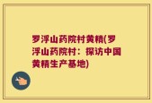 罗浮山药院村黄精(罗浮山药院村：探访中国黄精生产基地)