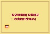 五朵源黄精(五黄精花：珍贵的野生草药)