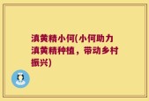滇黄精小何(小何助力滇黄精种植，带动乡村振兴)