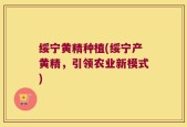 绥宁黄精种植(绥宁产黄精，引领农业新模式)