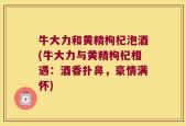 牛大力和黄精枸杞泡酒(牛大力与黄精枸杞相遇：酒香扑鼻，豪情满怀)