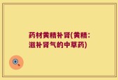 药材黄精补肾(黄精：滋补肾气的中草药)