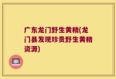 广东龙门野生黄精(龙门县发现珍贵野生黄精资源)