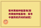 衢州黄精种植基地(衢州黄精种植基地：探寻中国传统药材的秘密)