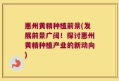 惠州黄精种植前景(发展前景广阔！探讨惠州黄精种植产业的新动向)