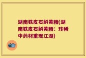 湖南铁皮石斛黄精(湖南铁皮石斛黄精：珍稀中药材重现江湖)