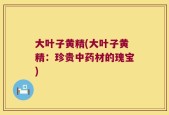 大叶子黄精(大叶子黄精：珍贵中药材的瑰宝)