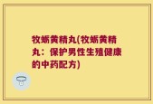 牧蛎黄精丸(牧蛎黄精丸：保护男性生殖健康的中药配方)