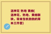 洛神花 熟地 黄精(洛神花、熟地、黄精联袂，带来生机勃勃的草本三件套)