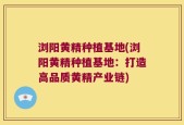浏阳黄精种植基地(浏阳黄精种植基地：打造高品质黄精产业链)