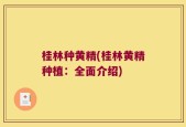 桂林种黄精(桂林黄精种植：全面介绍)