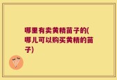 哪里有卖黄精苗子的(哪儿可以购买黄精的苗子)